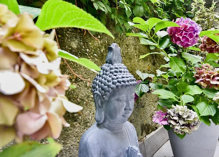 Buda Bliss Garden *