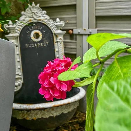 Buda Bliss Garden Budapesta